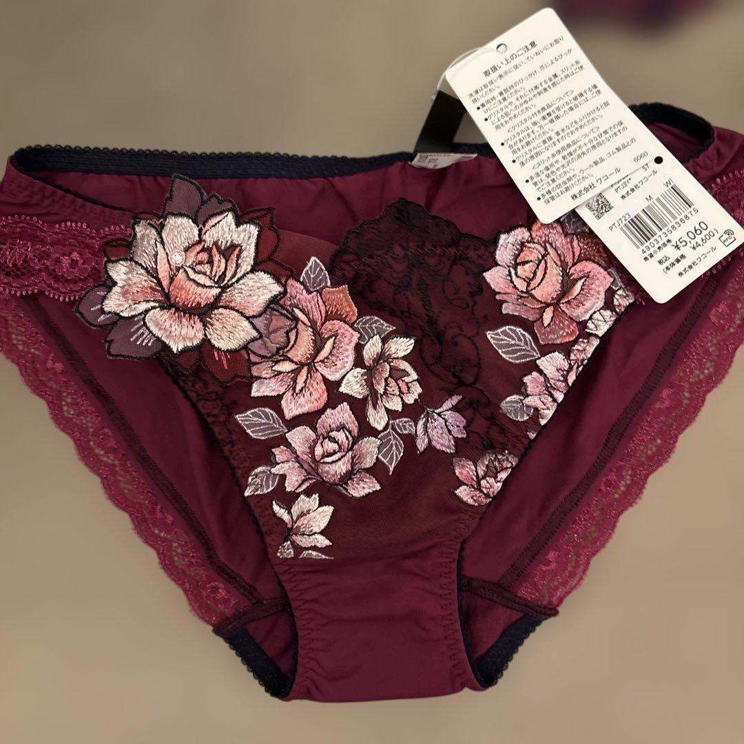 Salute サルート2025秋冬ブラジャーショーツセット E65 &Mサイズ