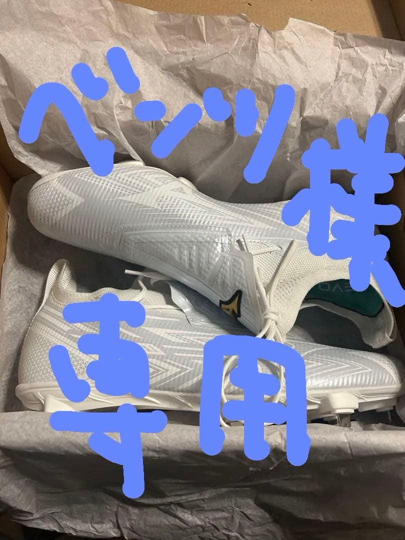 Mizuno ライトレボプロGS 28.0cm