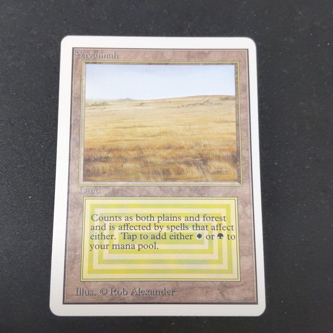 ●【貴重】【やや擦れアリ】Savannah　２ED　英語１枚