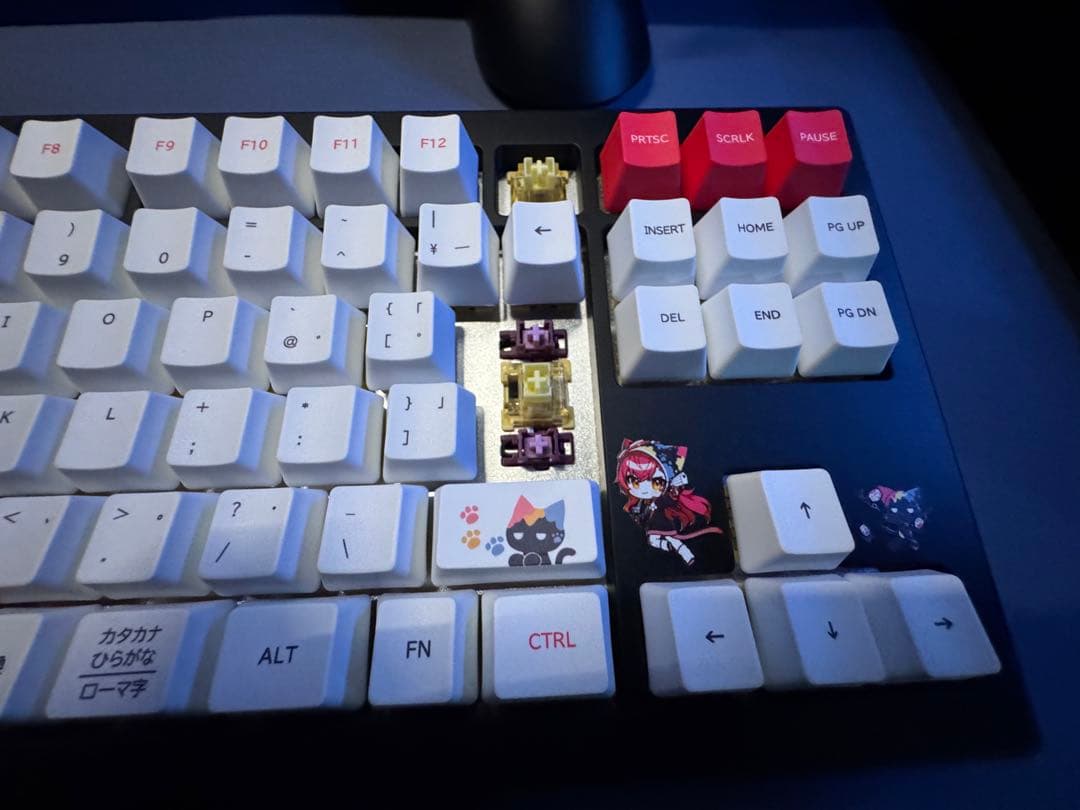 ぶいすぽっ！ VSPO! GEAR 猫汰つな キーボード 訳あり