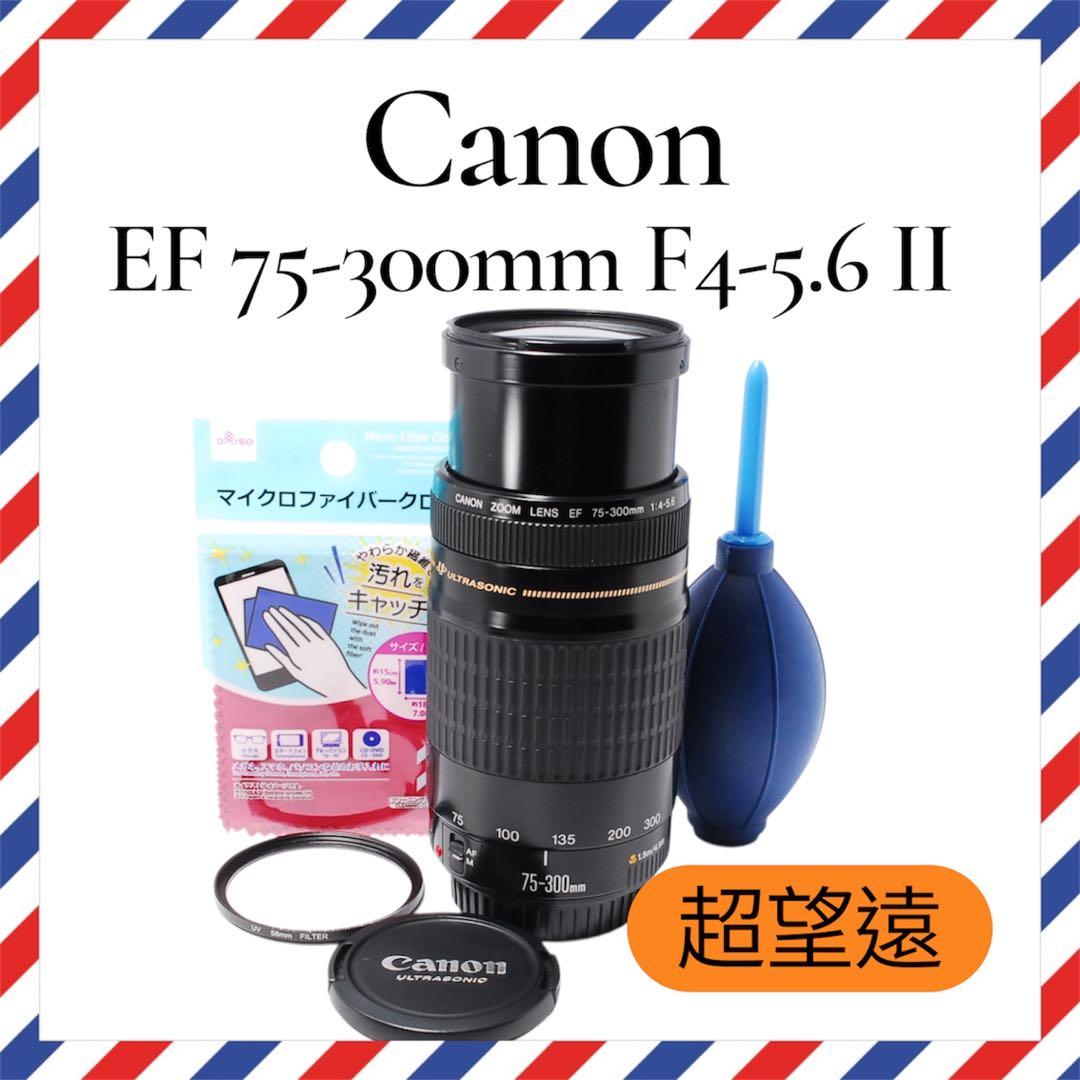 イベントやスポーツにも❤️ EF 75-300mm F4-5.6 II ❤️望遠