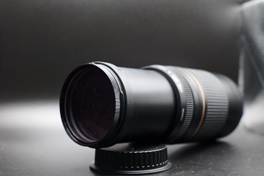 望遠レンズ Canon EFレンズ EF75-300mm F4-5.6 Ⅱ