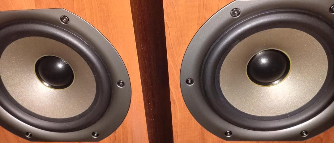 Polk Audio TSi-500 トールボーイスピーカーペア　送料込み　②