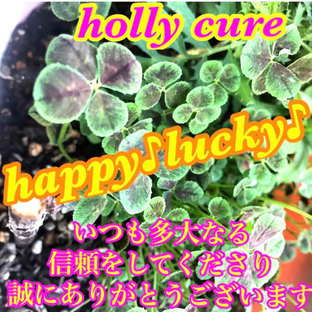 秘符(shiro)美容　美肌　金運　収入　利益　開運　護符　霊符　お守り