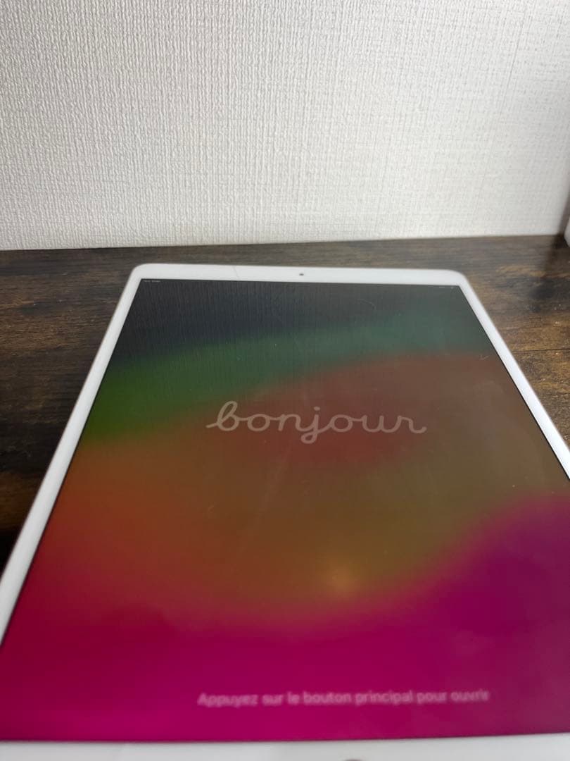 iPad Pro10.5インチ 256GB バッテリー劣化あり ※ジャンク扱い