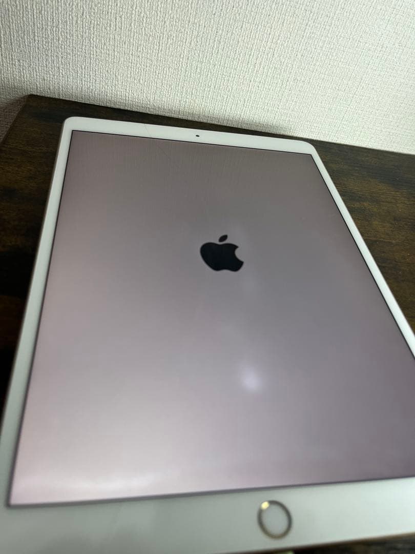 iPad Pro10.5インチ 256GB バッテリー劣化あり ※ジャンク扱い