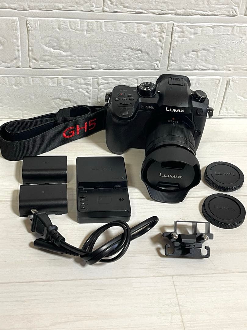 Panasonic LUMIX DC-GH5 レンズセット