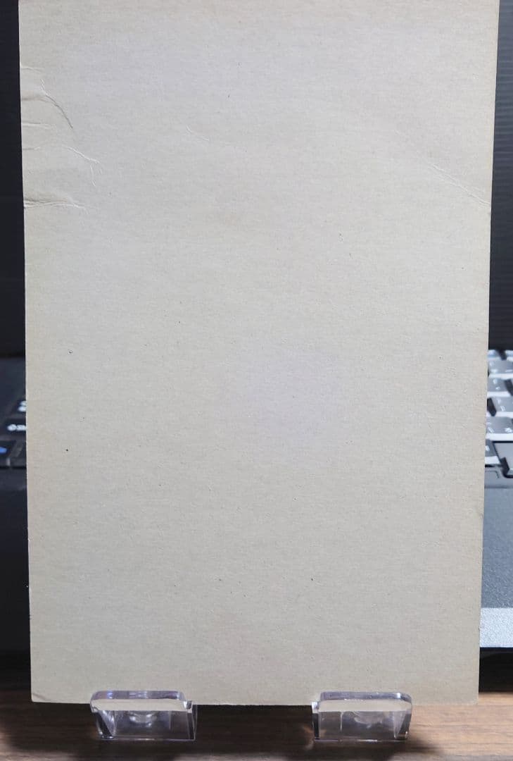 非売品バンダイカードダス 20 SDガンダム外伝 スペシャル 95 台紙