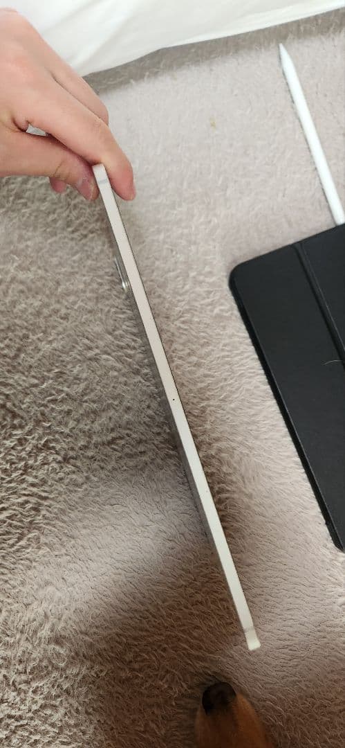 iPad Pro 11第2世代 256gb cellularケース箱ペン付き