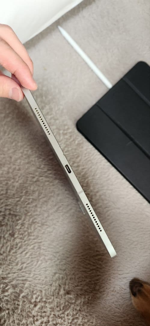 iPad Pro 11第2世代 256gb cellularケース箱ペン付き