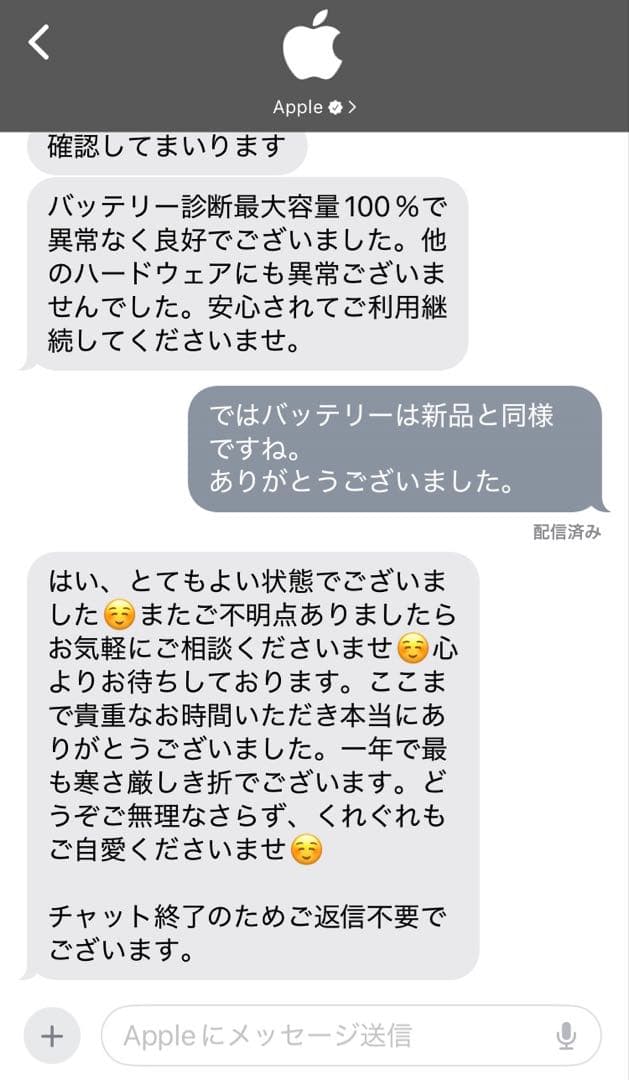 【バッテリー100%】Apple iPad 第9世代 64GB スペースグレイ