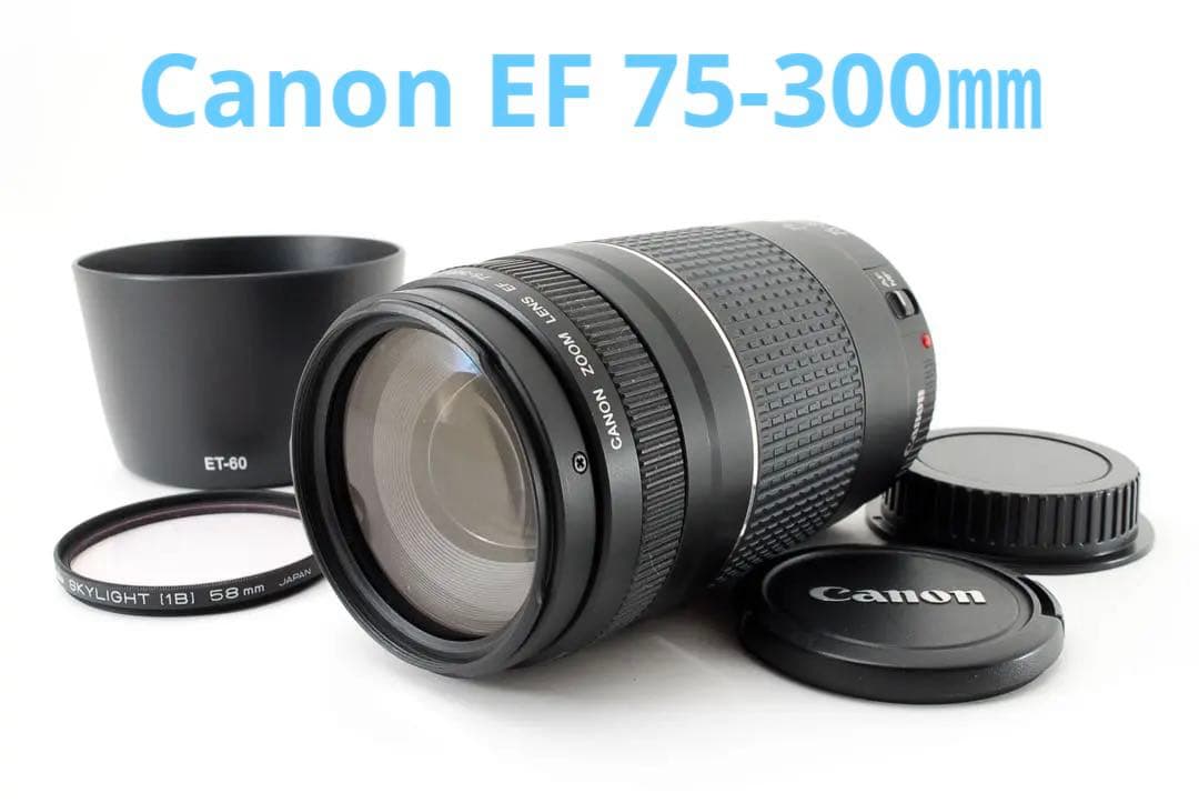 フード付き☆人気の望遠レンズ☆キヤノン　Canon EF75-300㎜