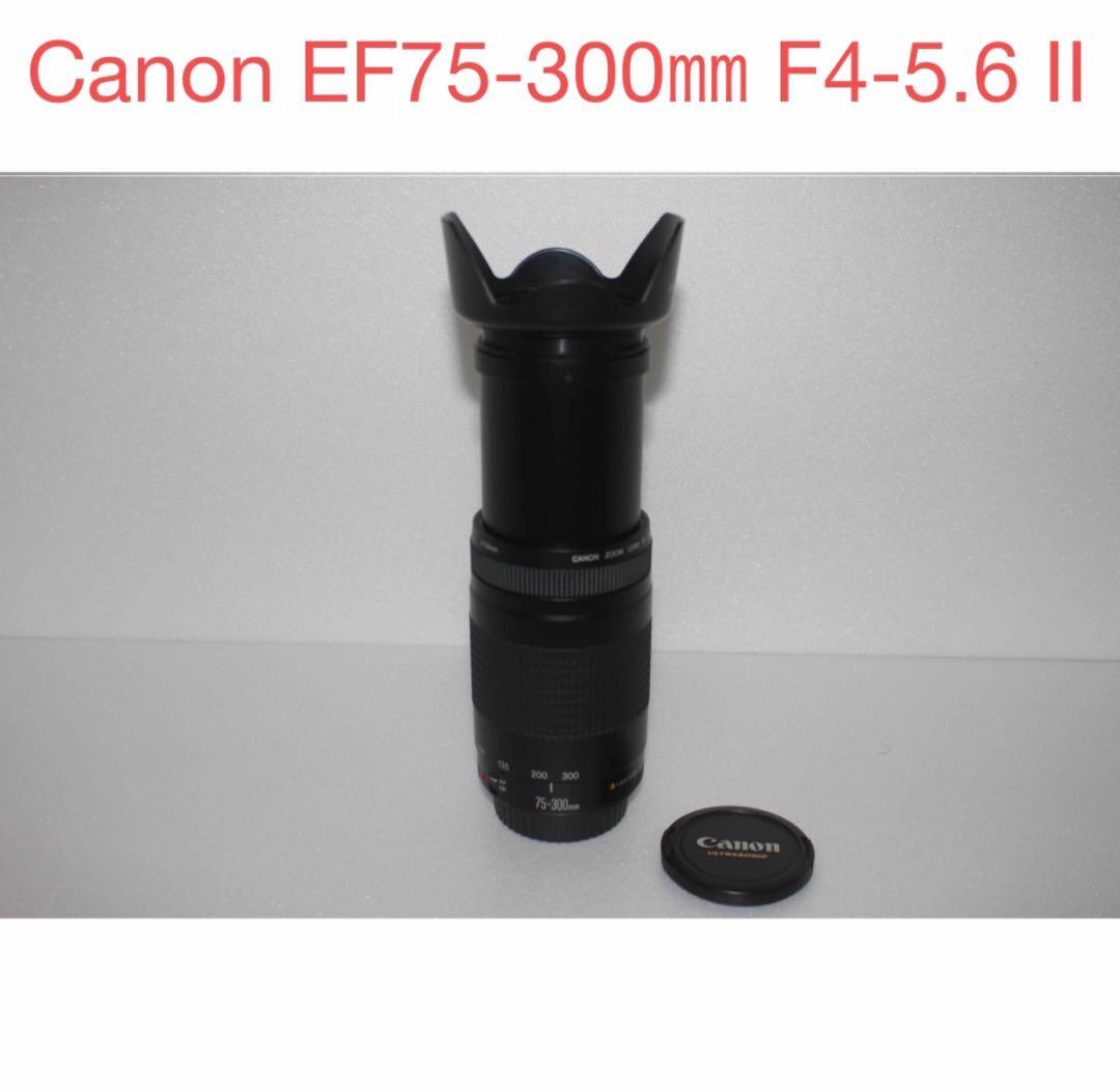 大望遠レンズ /Canon EF75-300 F4-5.6 II