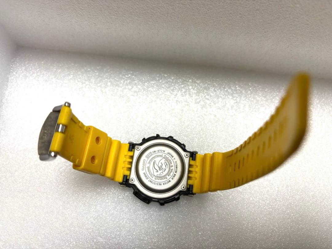 G-SHOCK イルクジ DW-9701K-9JR ICERC タフソーラー