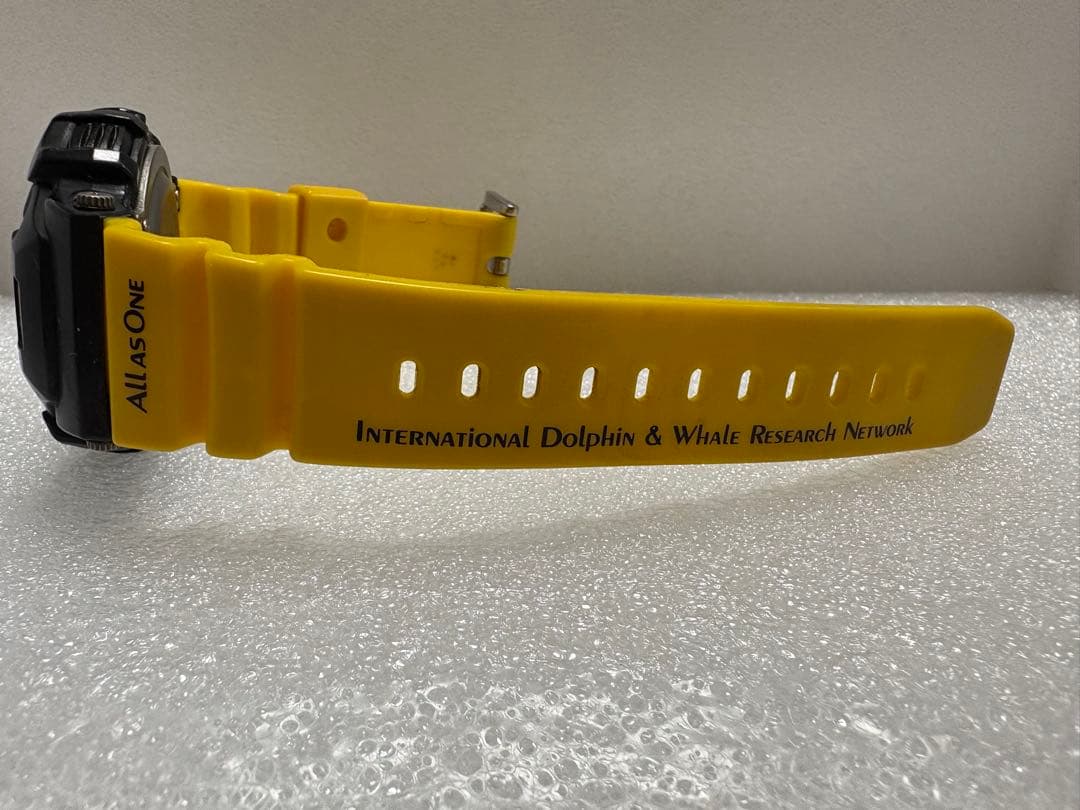 G-SHOCK イルクジ DW-9701K-9JR ICERC タフソーラー