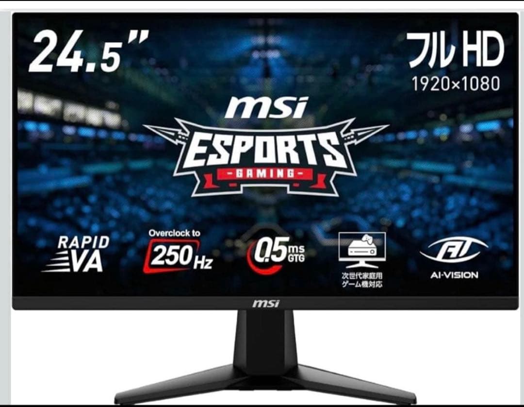 250hz MSI 24.5インチ ゲーミングモニター　MAG255XFV