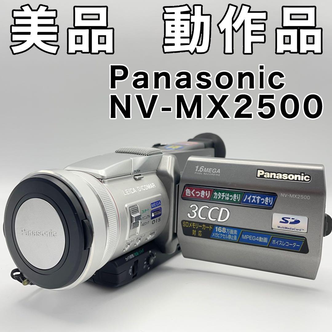 Panasonic NV-MX2500 ビデオカメラ MiniDV　ダビング