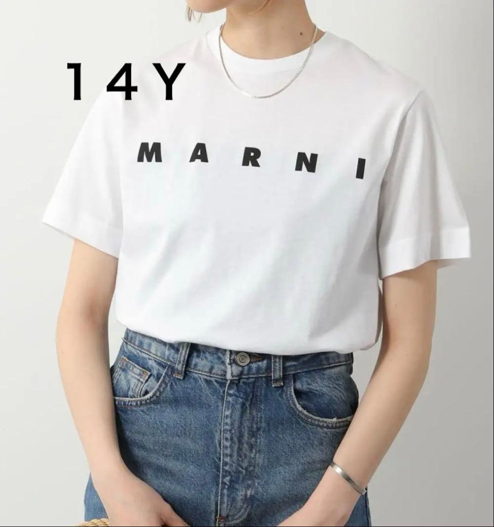 マルニ　キッズTシャツ　14Y 160cm 新品