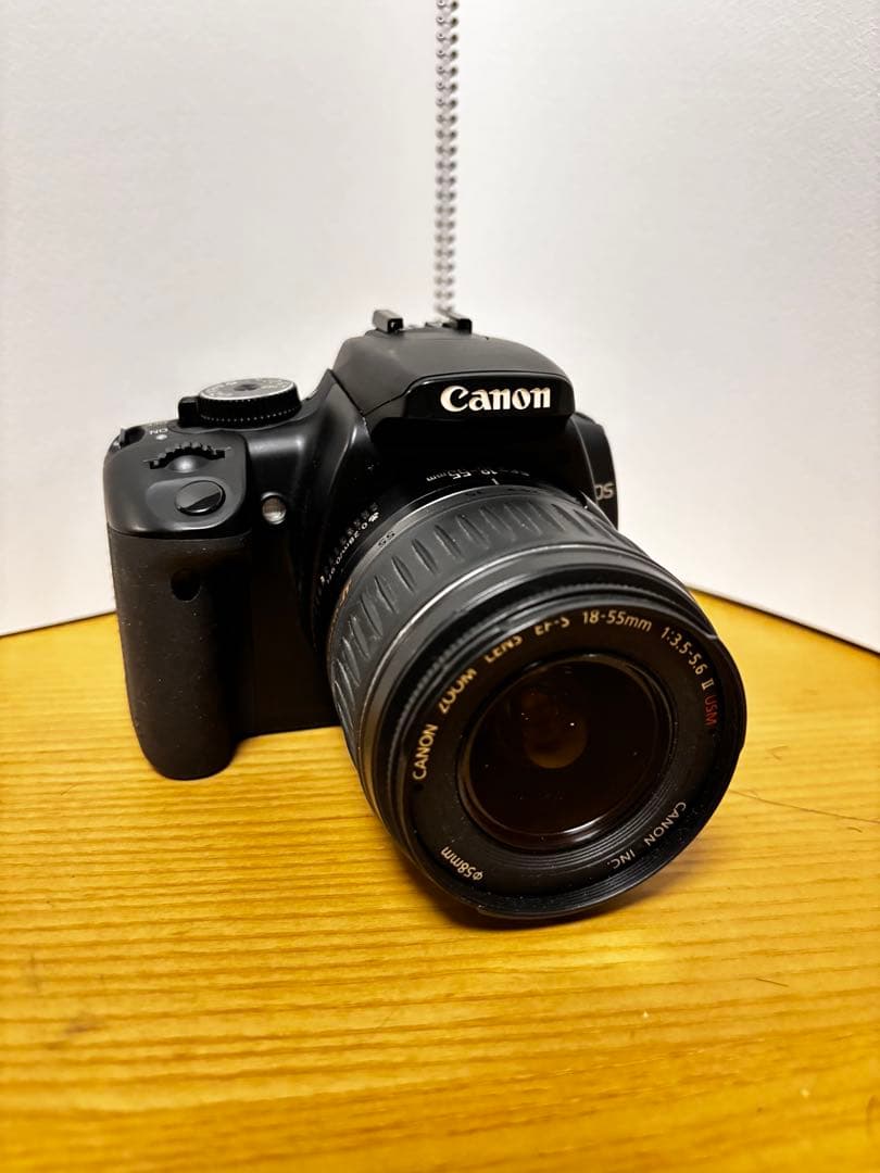 Canon EOS Kiss Digital X デジタル一眼レフカメラ