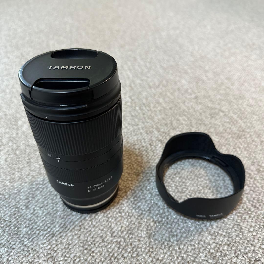 タムロン(TAMRON) 28-200mm F/2.8 Di III RXD