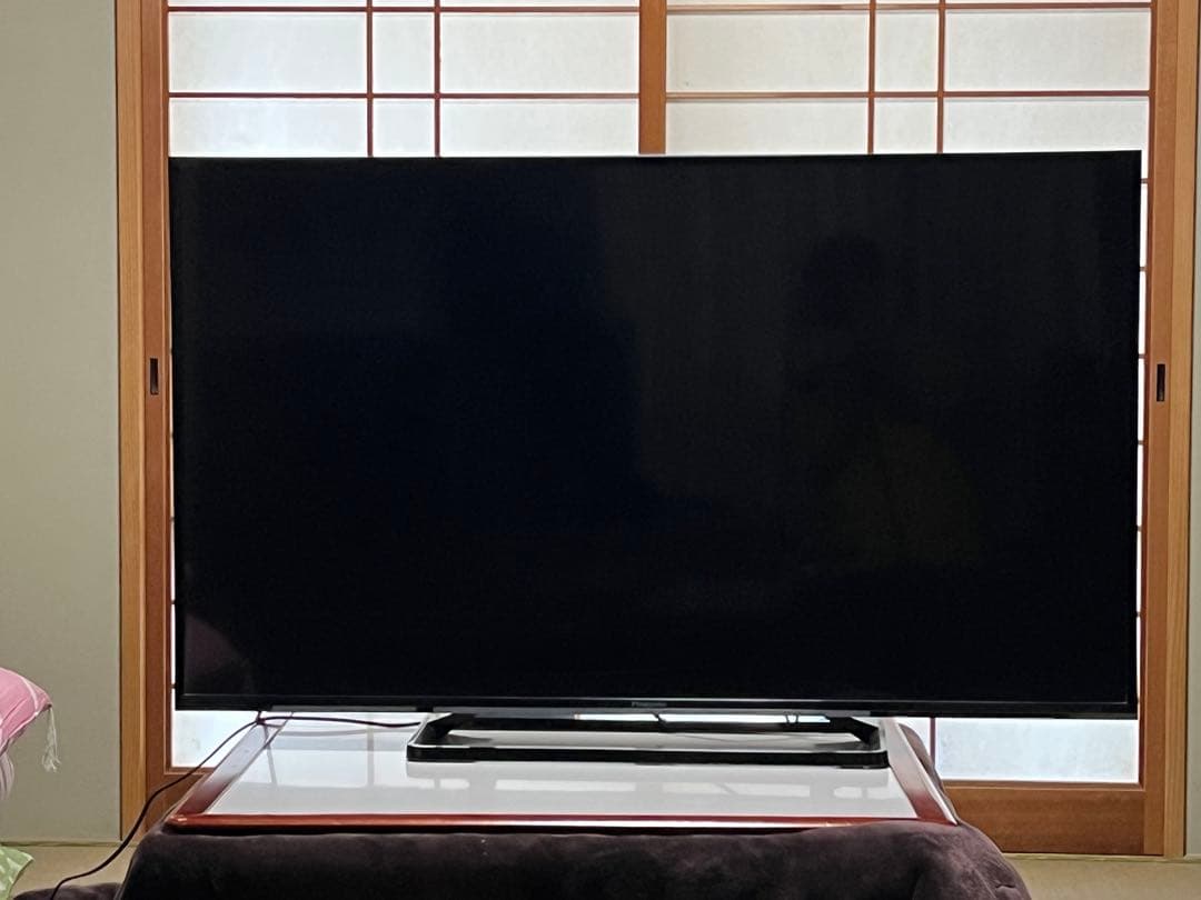 Panasonic TH-49E300 49インチ液晶テレビ【訳あり品】
