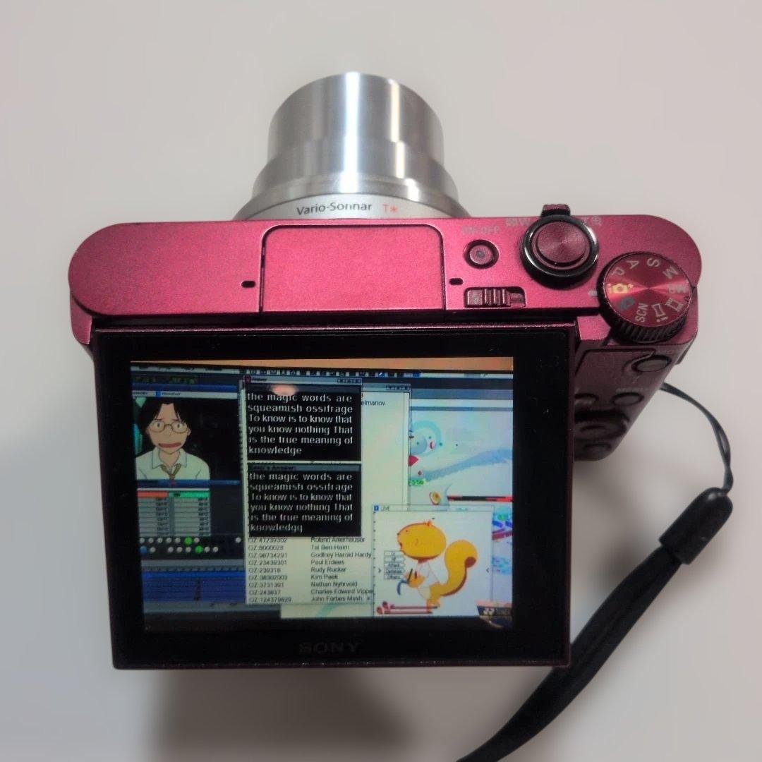 ソニー サイバーショットDSC-WX500