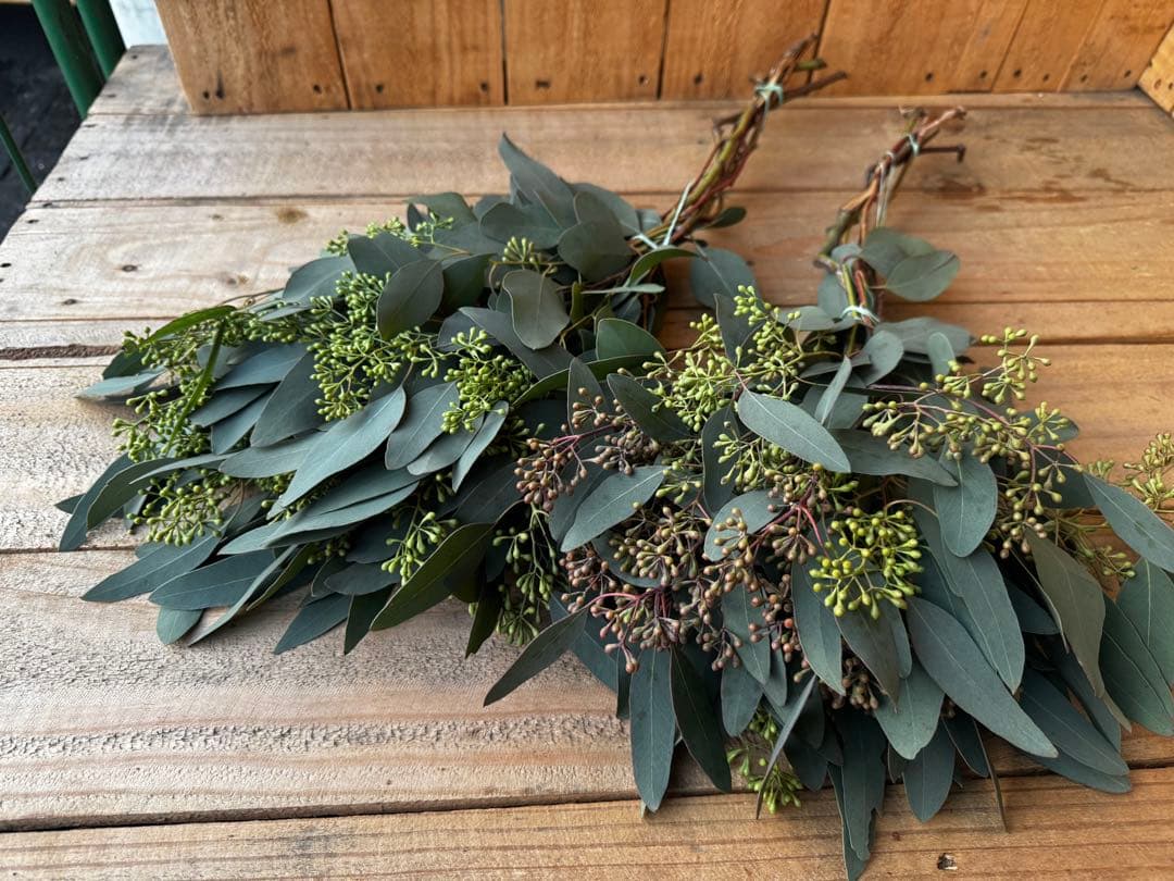 38様 リクエスト 5点 まとめ商品