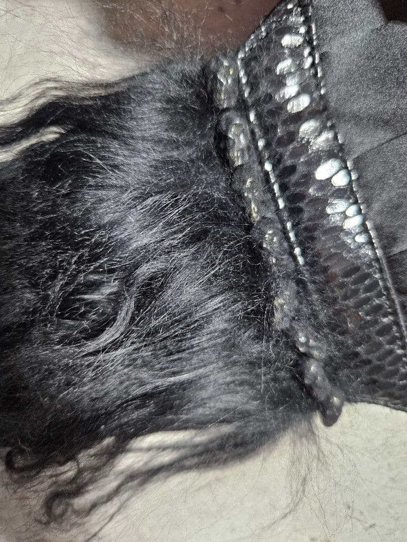 ifsixwasnine カマーベルト