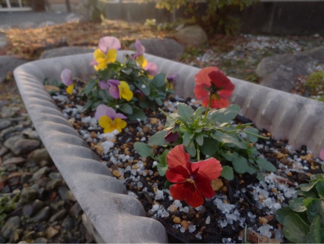 ☆動作OK コンデジ OLYMPUS SZ-20 バッテリー付き