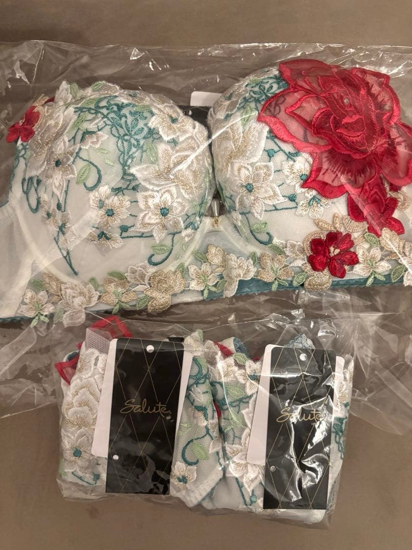 新作Salute サルートブラジャー+ショーツ2型の3点セット　E65＆Mサイズ