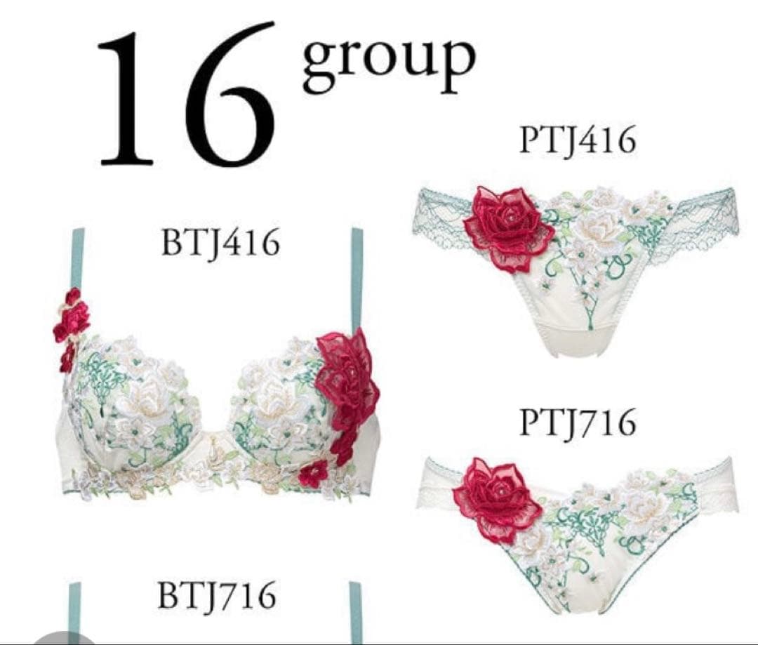 新作Salute サルートブラジャー+ショーツ2型の3点セット　E65＆Mサイズ