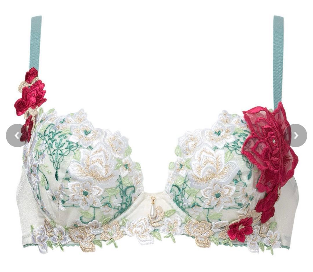 新作Salute サルートブラジャー+ショーツ2型の3点セット　E65＆Mサイズ