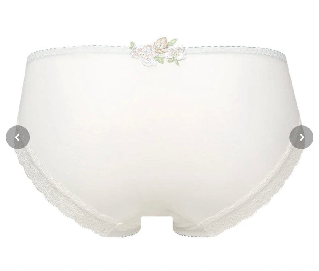 新作Salute サルートブラジャー+ショーツ2型の3点セット　E65＆Mサイズ