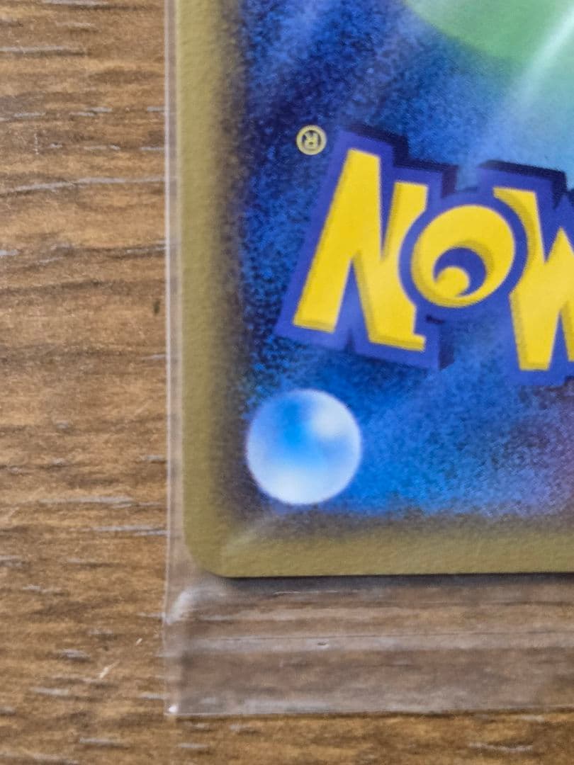 ポケパーク レックウザ プロモ 041/PCG-P ポケモンカード