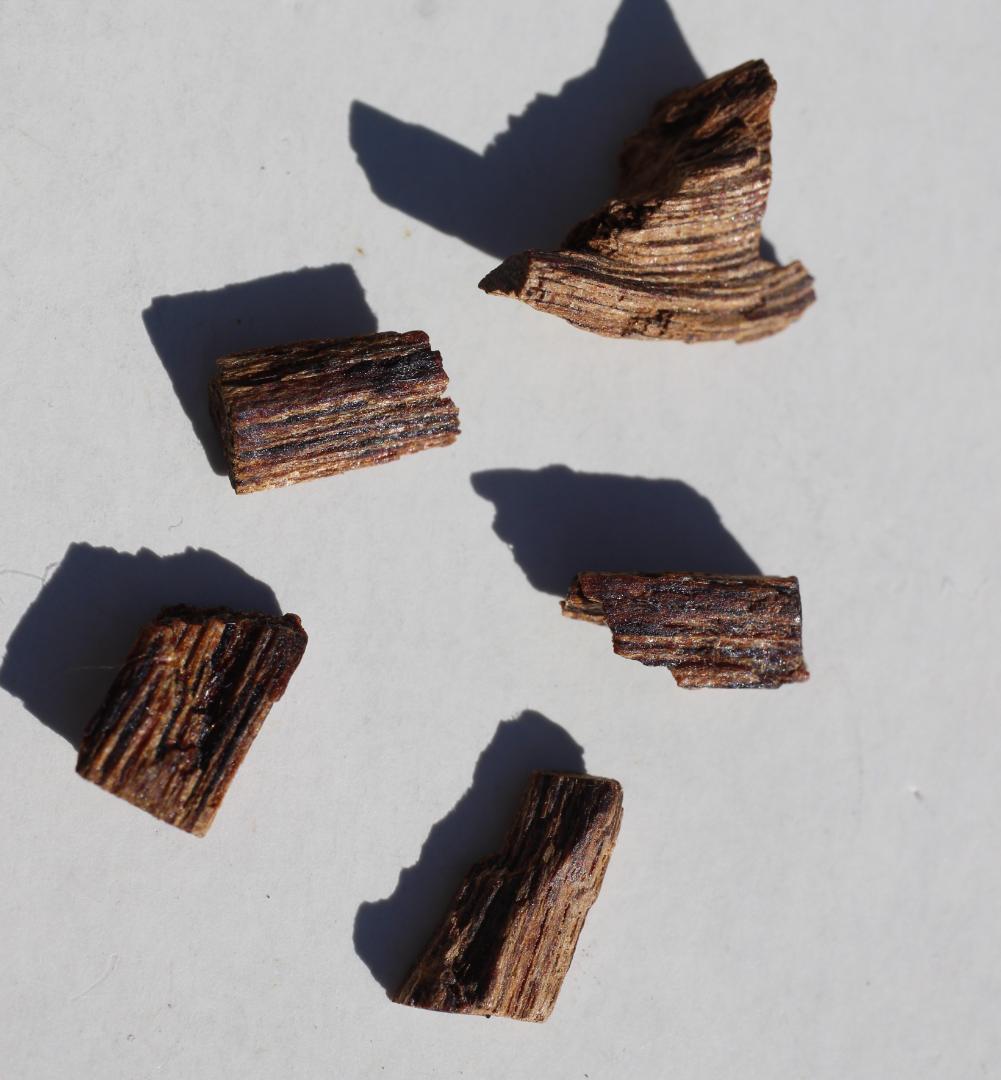 香木 古渡命銘木 「初音」約0.3g 小分け沈香 伽羅 奇南 奇楠 お香 香道