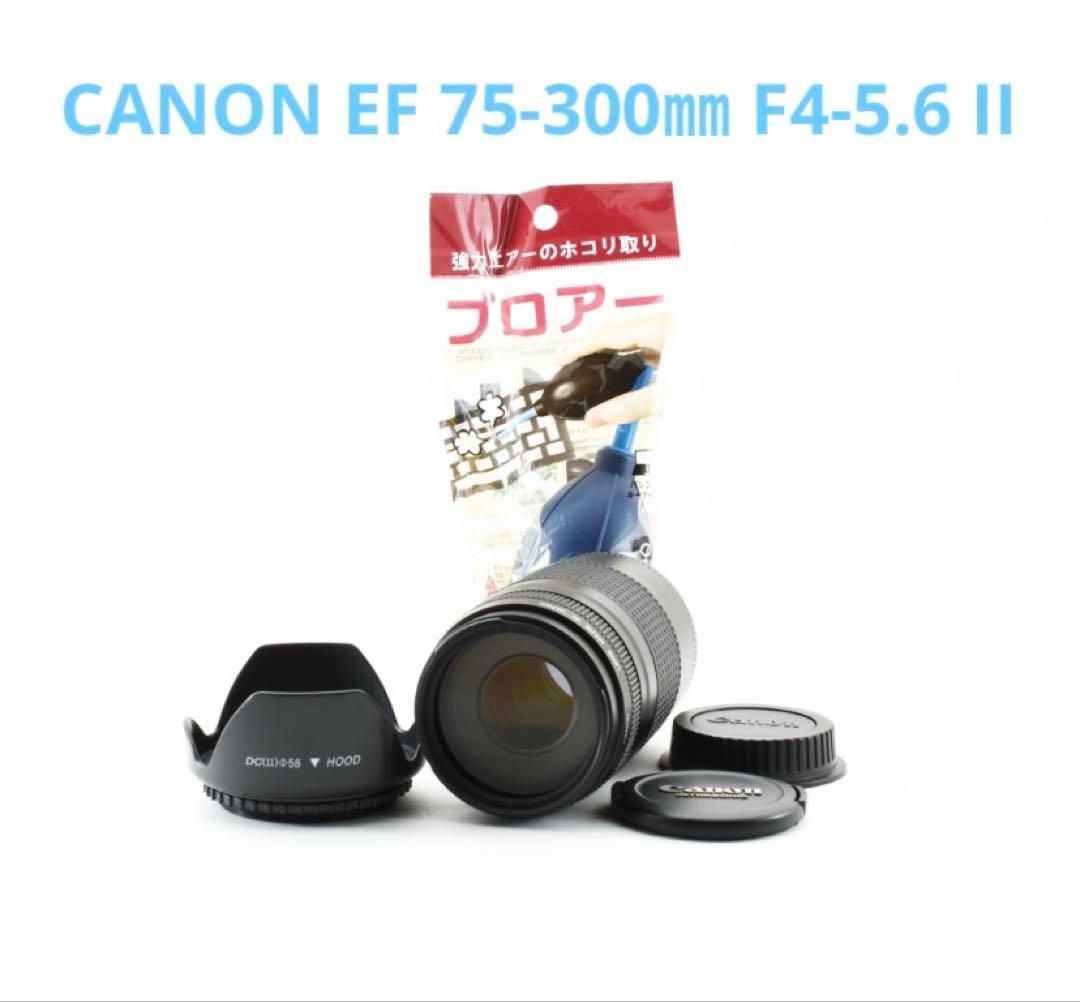 CANON EF 75-300㎜ F4-5.6 II☆動作OK フルサイズ対応