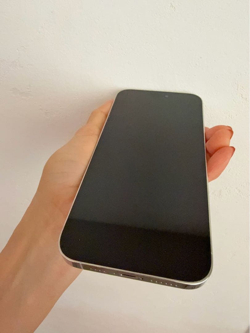 iPhone 14 Pro Max シルバー本体