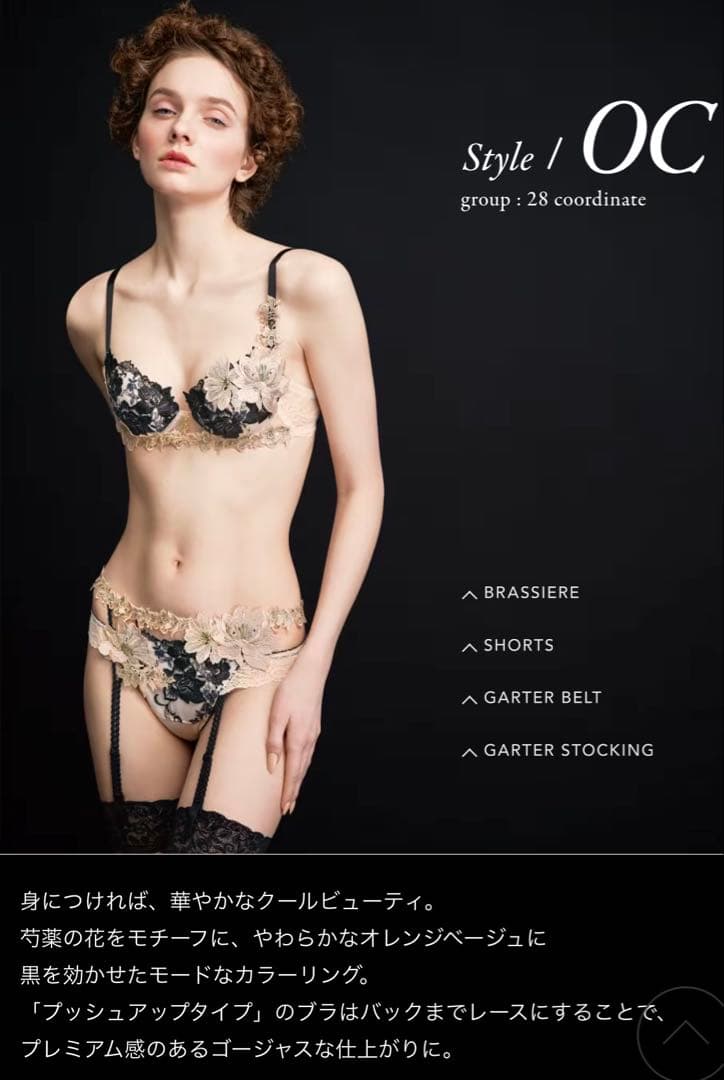 WACOALサルート新作28gＣ65ブラ&ソングＭ