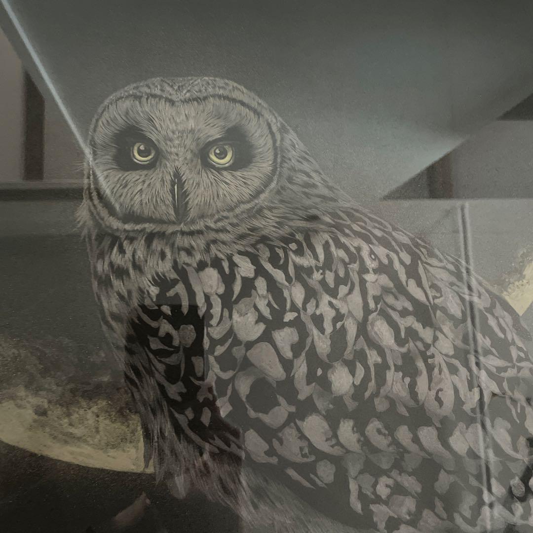 金澤隆 日本画 夜の帳 フクロウ インテリア 額縁 絵画
