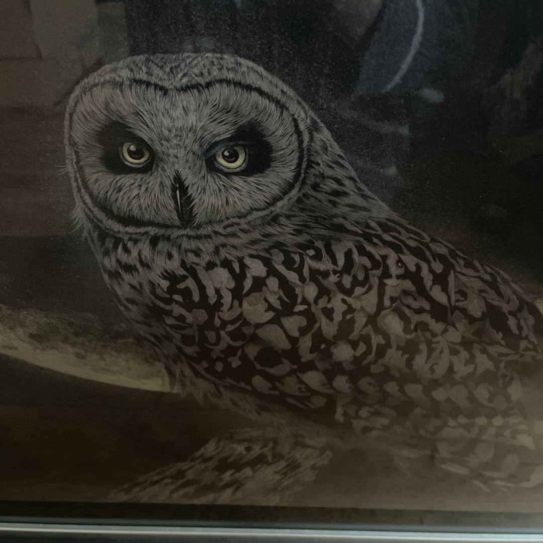 金澤隆 日本画 夜の帳 フクロウ インテリア 額縁 絵画