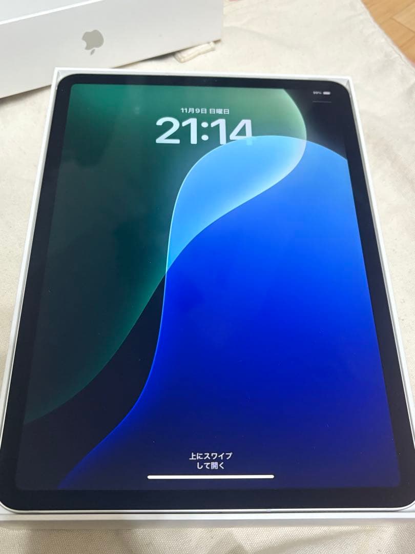 【ジャンク品】iPad Pro 11インチ 64GB 第1世代 ケース・ペンシル