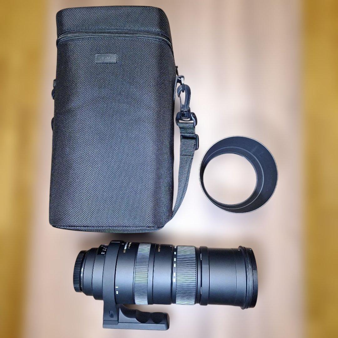 ★SIGMA★シグマ★APO150-500F5-6.3DG
