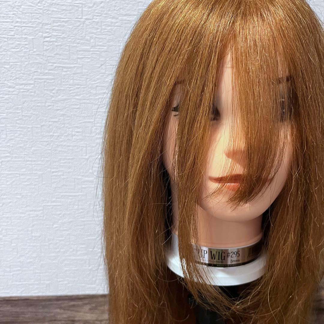 アイビル アップウィッグ ＃295 ブラウン 人毛100％