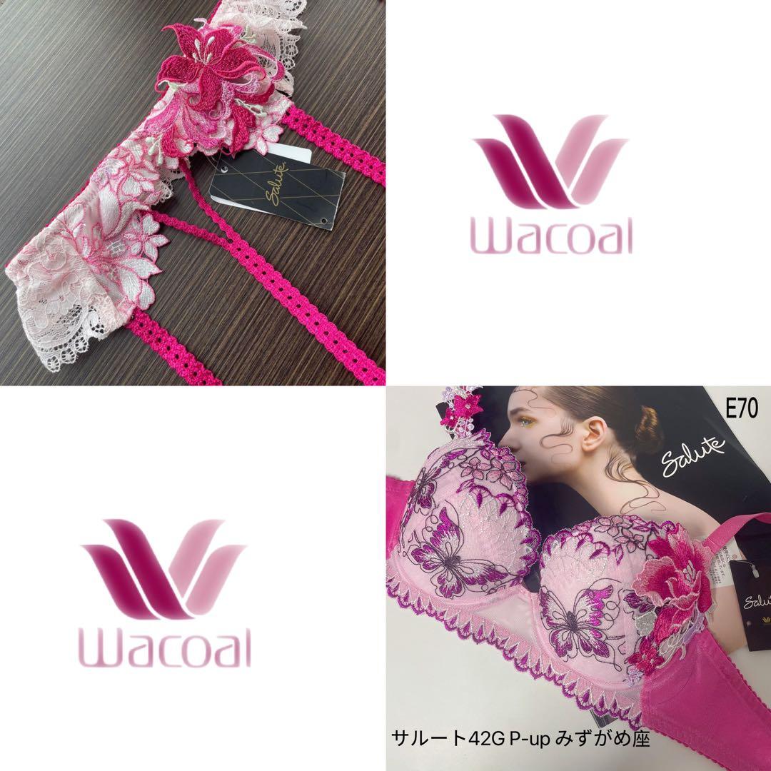 ワコール サルート42G P-up みずがめ座 ブラジャーE70