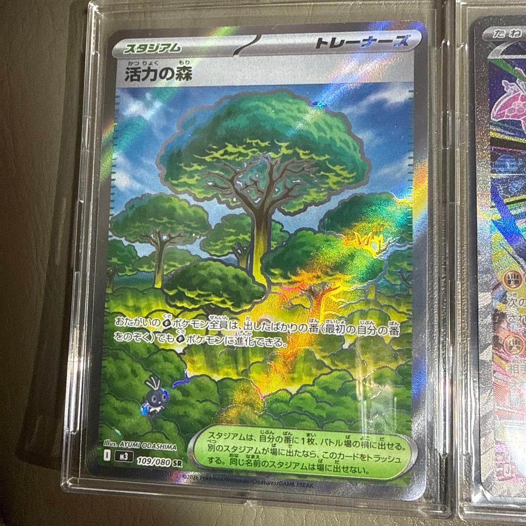 メガジガルデSAR メイのはげましSR ピッピAR その他まとめ売り