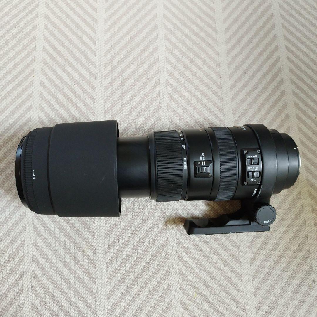 SIGMA DG 150-500mm 1.5-6.3 APO HSM レンズ