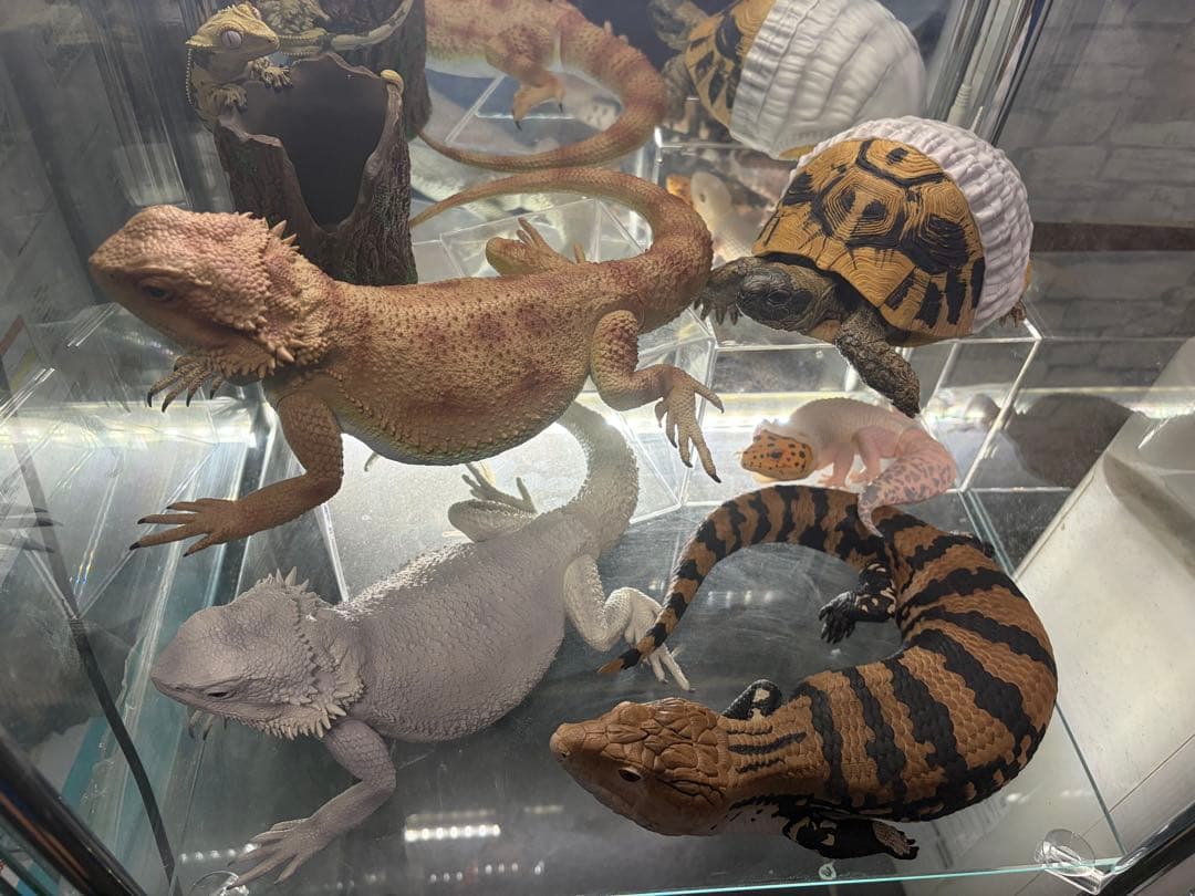 一番くじ 爬虫類＆両生類～Tiny Friends～vol.1.2 コンプリート