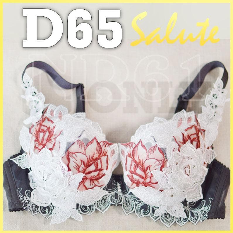 【ワケアリ】D65　P-UPブラ　サルート　97G　マレフィセント　日本製