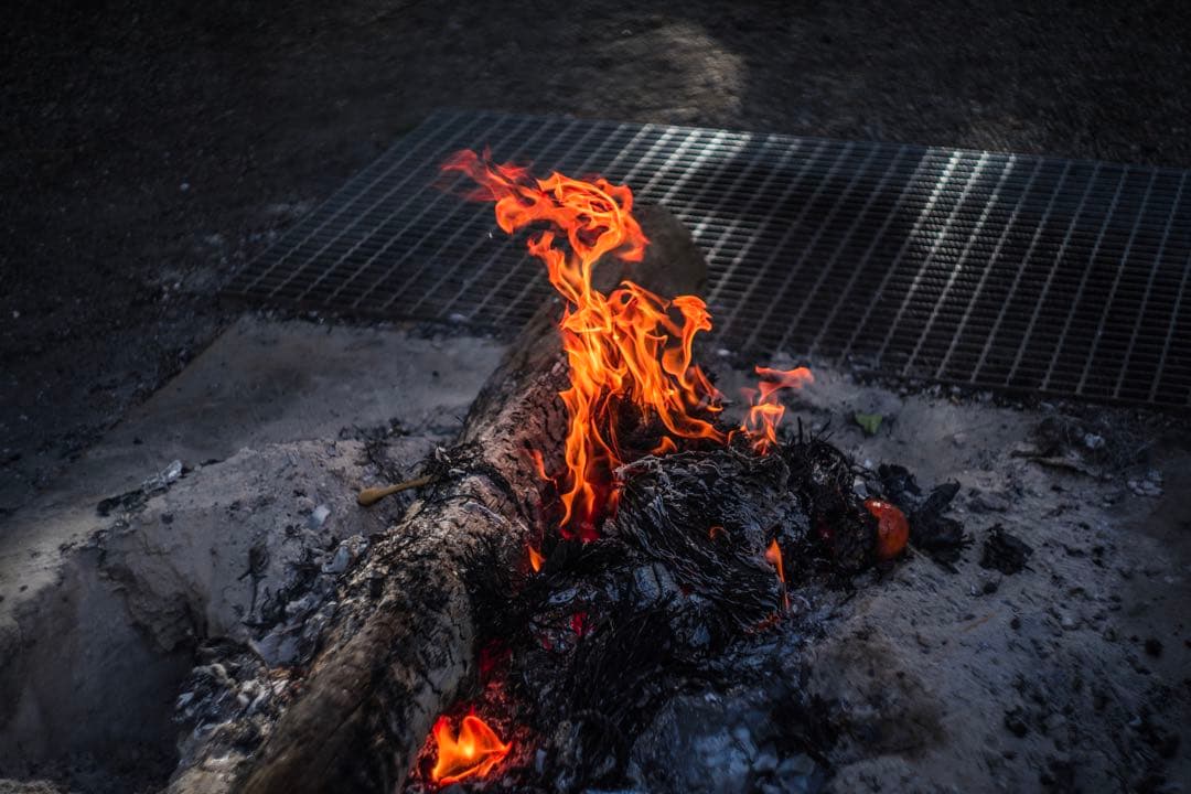 美品 分解清掃済 Helios-44-3 58mm f2 ベラルーシ製 1