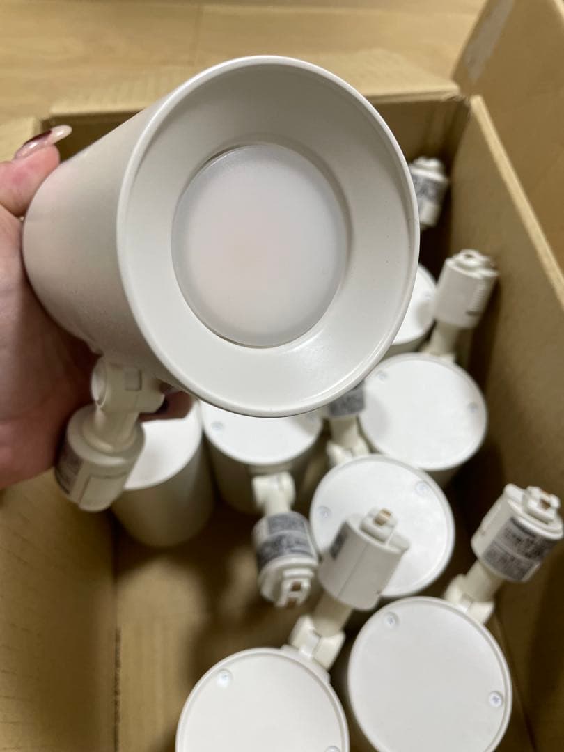 ホワイト スポットライト 複数個